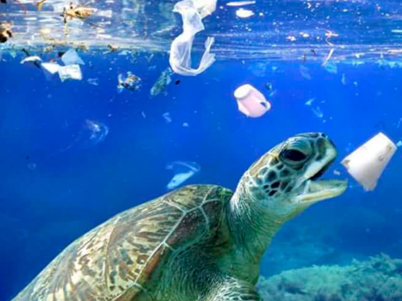 lixo-nas-praias-tartaruga-marinha