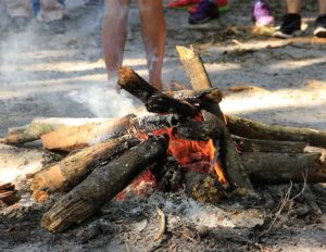 5 Motivos para fazer um curso de sobrevivência na selva