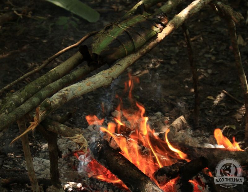 Sobrevivência na selva escapar história regras de sobrevivência